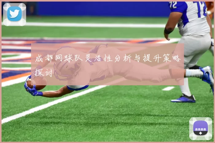 成都网球队灵活性分析与提升策略探讨