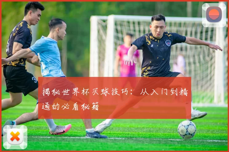 揭秘世界杯买球技巧：从入门到精通的必看秘籍
