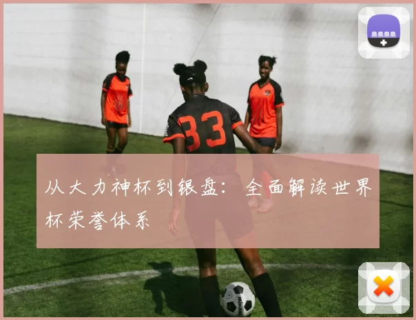 从大力神杯到银盘：全面解读世界杯荣誉体系