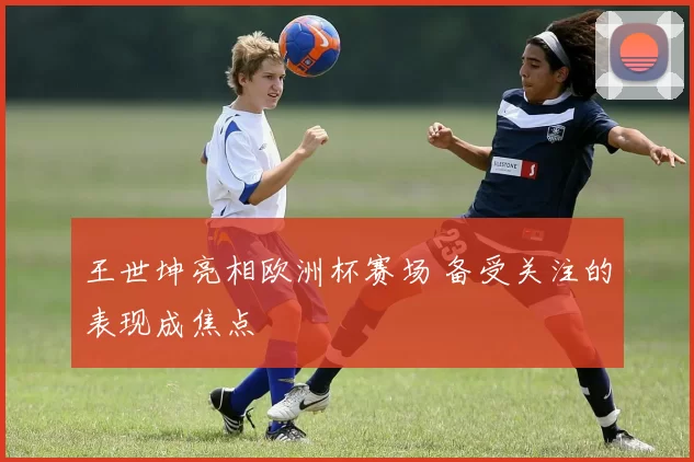 王世坤亮相欧洲杯赛场 备受关注的表现成焦点