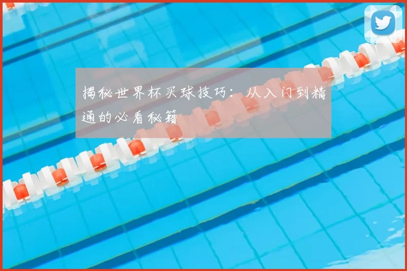 揭秘世界杯买球技巧：从入门到精通的必看秘籍