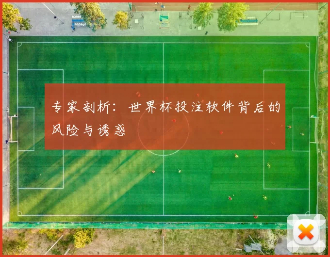 专家剖析：世界杯投注软件背后的风险与诱惑