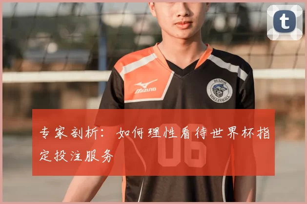 专家剖析：如何理性看待世界杯指定投注服务