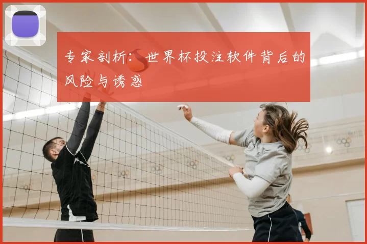 专家剖析：世界杯投注软件背后的风险与诱惑