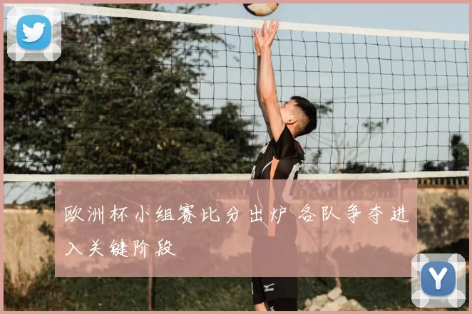 欧洲杯小组赛比分出炉 各队争夺进入关键阶段