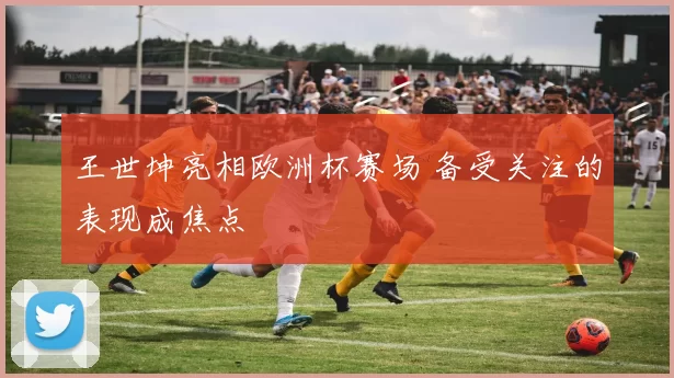 王世坤亮相欧洲杯赛场 备受关注的表现成焦点