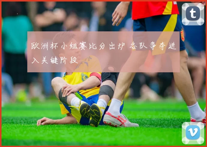 欧洲杯小组赛比分出炉 各队争夺进入关键阶段