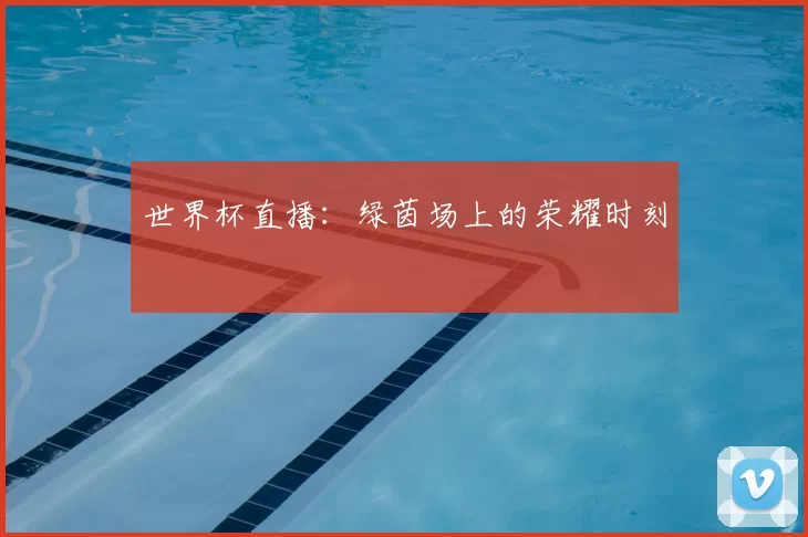 世界杯直播：绿茵场上的荣耀时刻