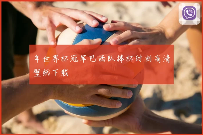 年世界杯冠军巴西队捧杯时刻高清壁纸下载