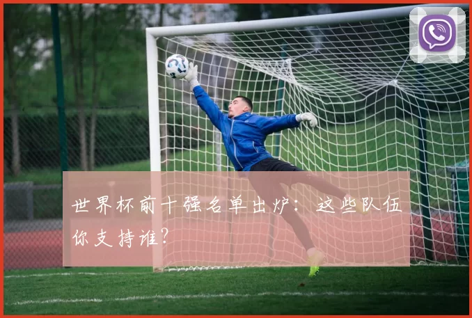 世界杯前十强名单出炉：这些队伍你支持谁？